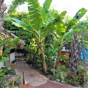 La Casa De Los Ninos Del Arbol Bacalar