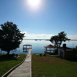 Blue Monkey Bacalar